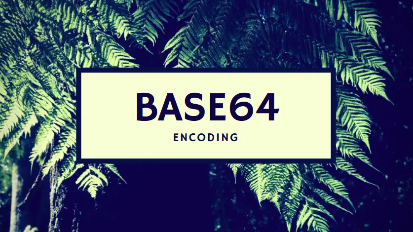 Featured image for Base64 编码并不唯一